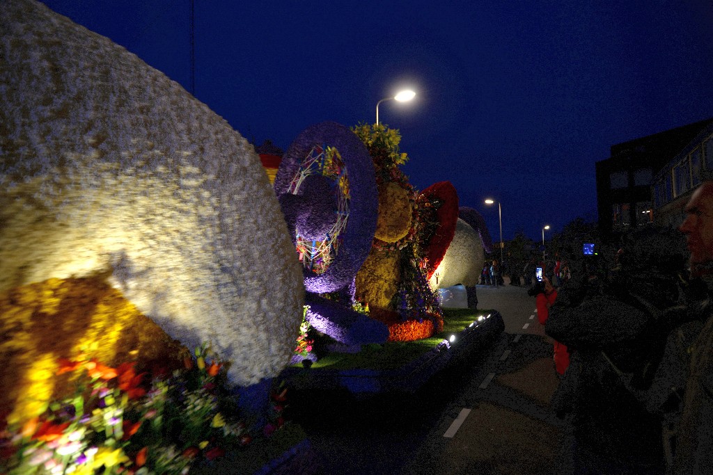 ../Images/Bloemencorso Noordwijkerhout 234.jpg